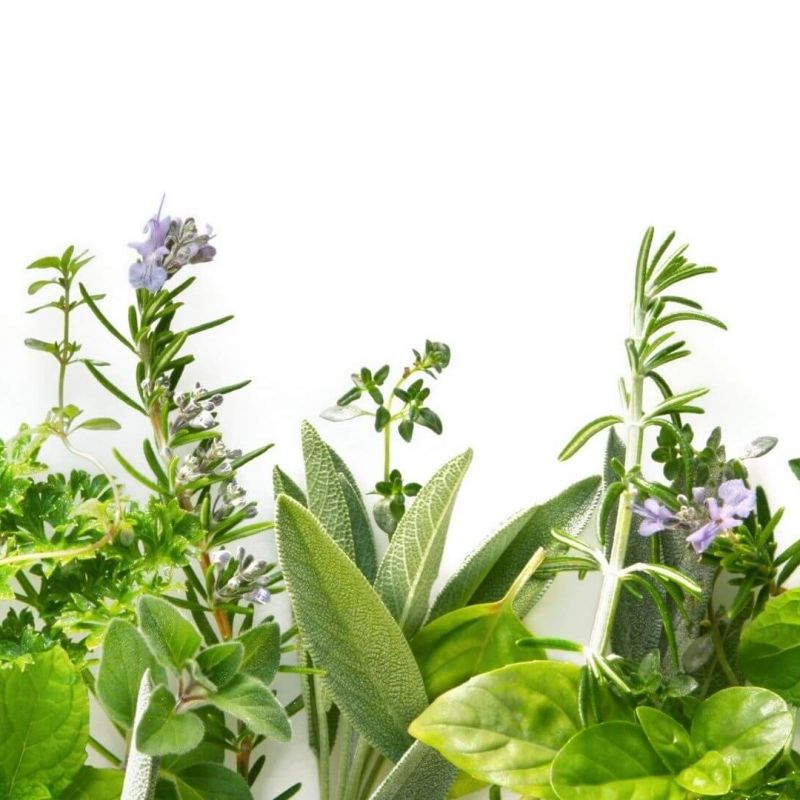 الأعشاب و التوابل