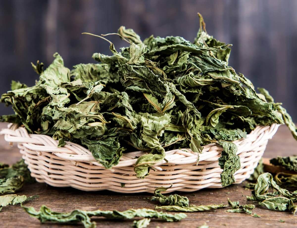 ملوخية مجففة