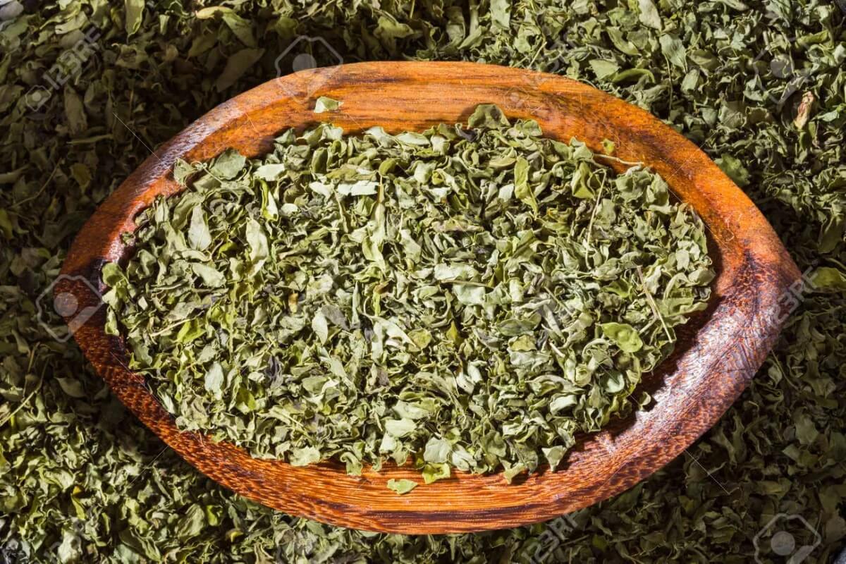 المورينجا المجففة