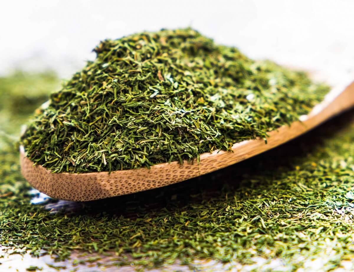 أورق شبت مجففة