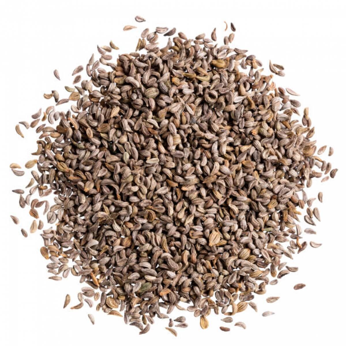 بذور البقدونس