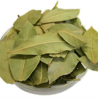 أوراق الغار