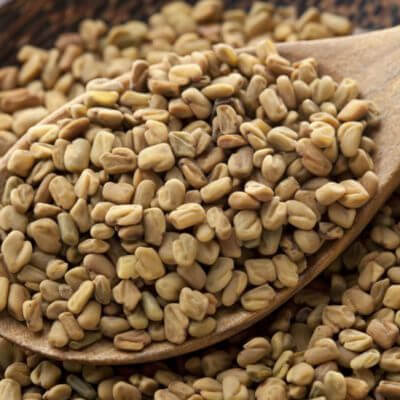 بذور الحلبة