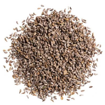 بذور البقدونس