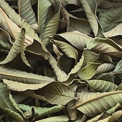 أوراق جوافة مجففة